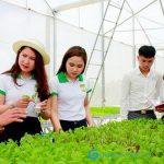 Tìm hiểu về ngành sư phạm kỹ thuật nông nghiệp và cơ hội nghề nghiệp