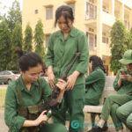 Học Cao đẳng có phải học quân sự không? Quy định mới nhất